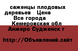 саженцы плодовых деревьев › Цена ­ 6 080 - Все города  »    . Кемеровская обл.,Анжеро-Судженск г.